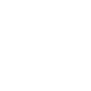 twitter icon